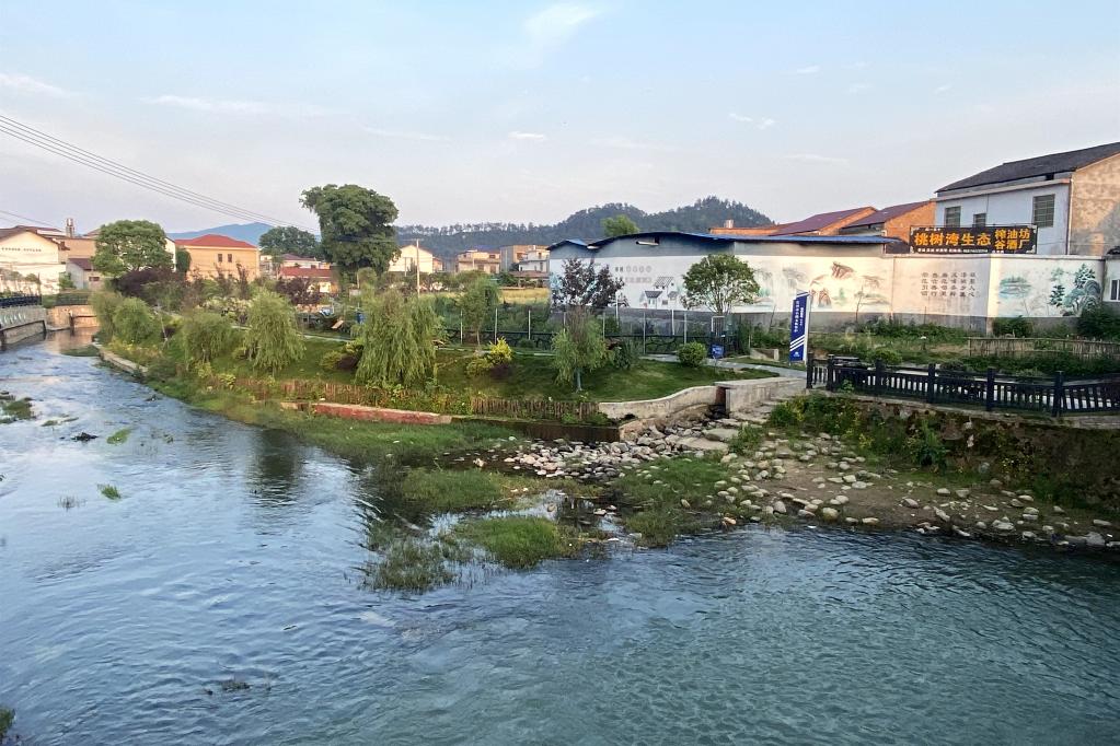 奮進(jìn)新征程 建功新時(shí)代·我們的新時(shí)代｜“90后”村干部：新時(shí)代鄉(xiāng)村治理生力軍