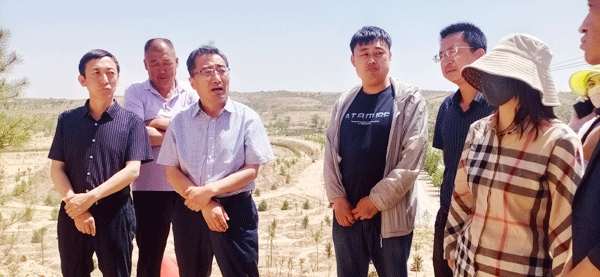榆林市政协副主席王志强跟踪督导“塞上森林城”提质增效行动生态保护修复项目工作