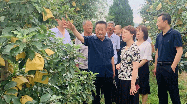 凤翔区政协开展“协商在田间 委员建诤言”读书交流会
