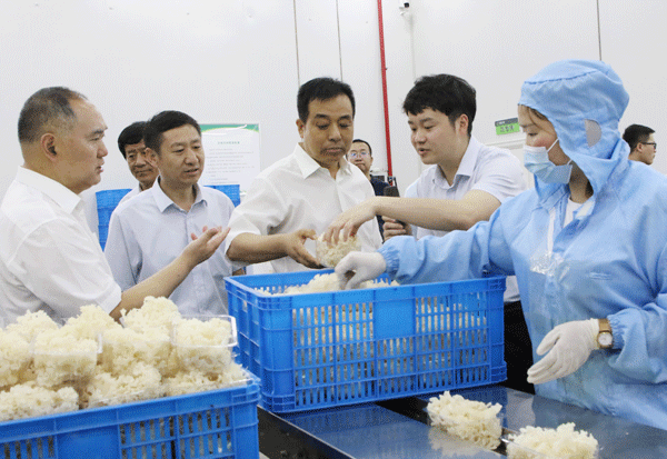 王宁岗在商州区调研时强调 凝聚共识 汇聚力量 助力中心城区高质量发展