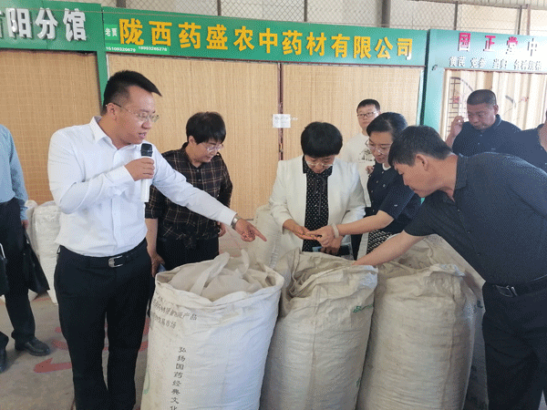 子洲县政协考察团赴陇西县学习考察中药材产业发展工作