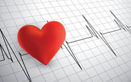 心脏逆向工程研究获新进展生物人工左心室模型培育成功