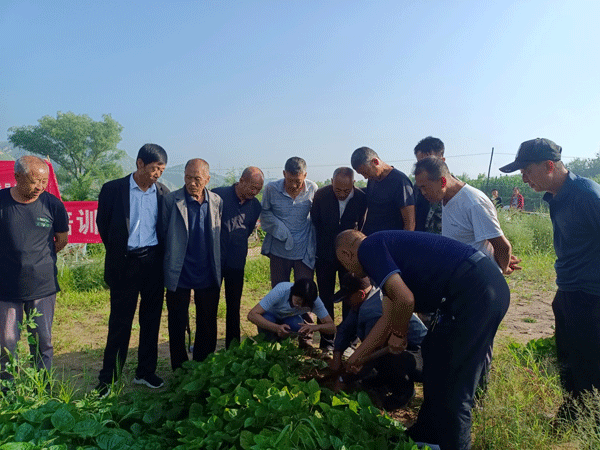 绥德县政协农业界委员工作室走进田间地头送技术