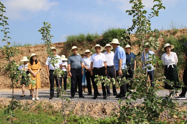 田间调研，推动提案“落地”