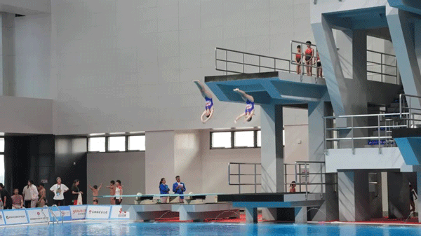 省十七运青少年组跳水项目圆满落幕 榆林队团体总分第