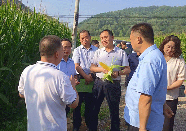 麟游县政协围绕粮食安全保障情况开展专题协商