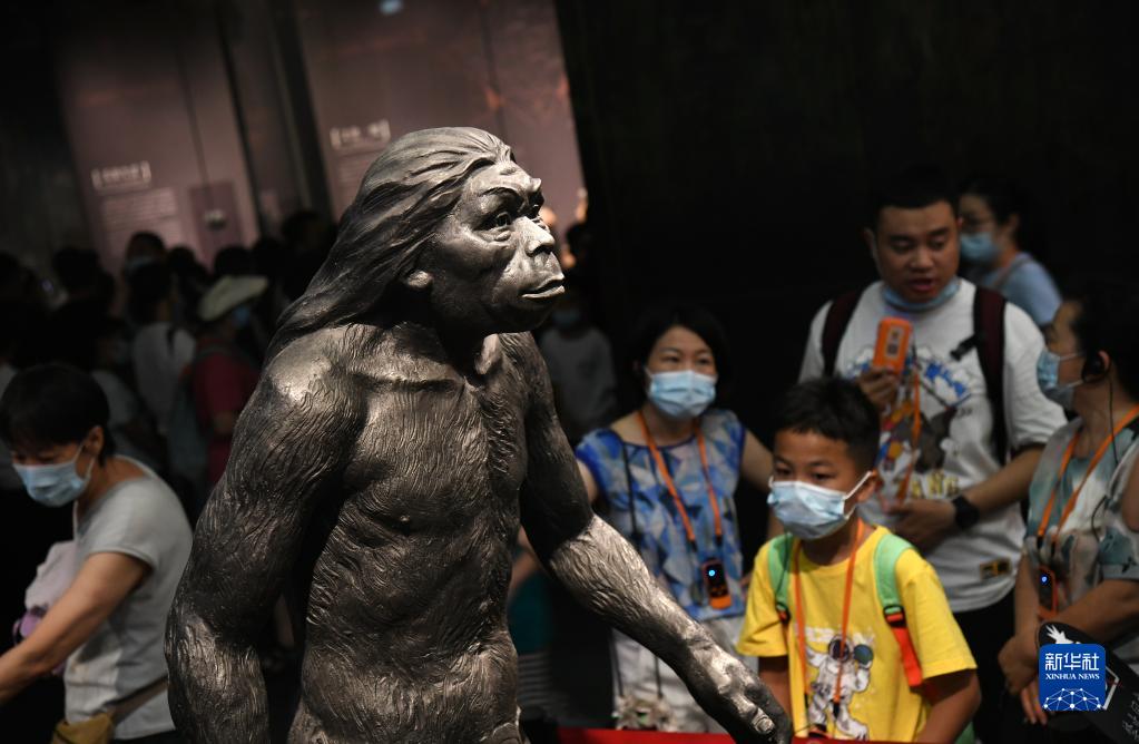 8月11日，游客在陕西历史博物馆内参观。