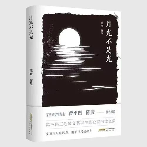 商洛籍作家陈仓喜获第八届鲁迅文学奖