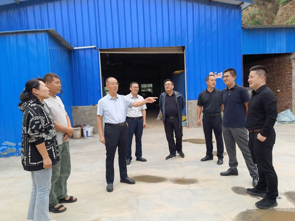 绥德县政协主席孙虎生到白家硷镇调研黑毛土猪养殖产业