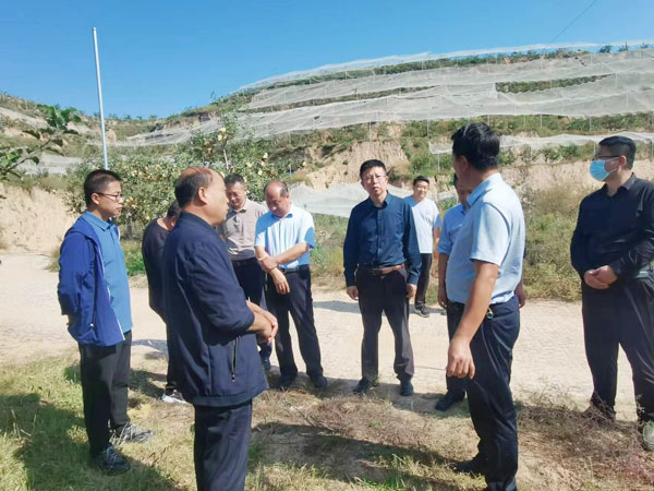 榆林市政协副主席高苗调研山地苹果产业发展情况
