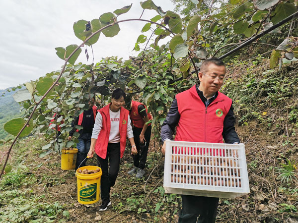 宁陕政协“委员活动日”亮点纷呈