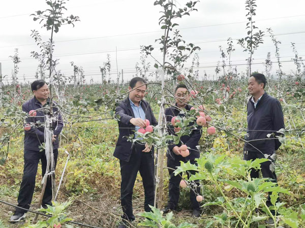 聚共识 解难题 促发展！麟游县政协主席走访慰问委员企业