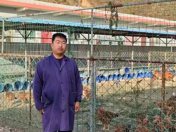 诚信经营“鸡产业” 带领乡亲共致富
