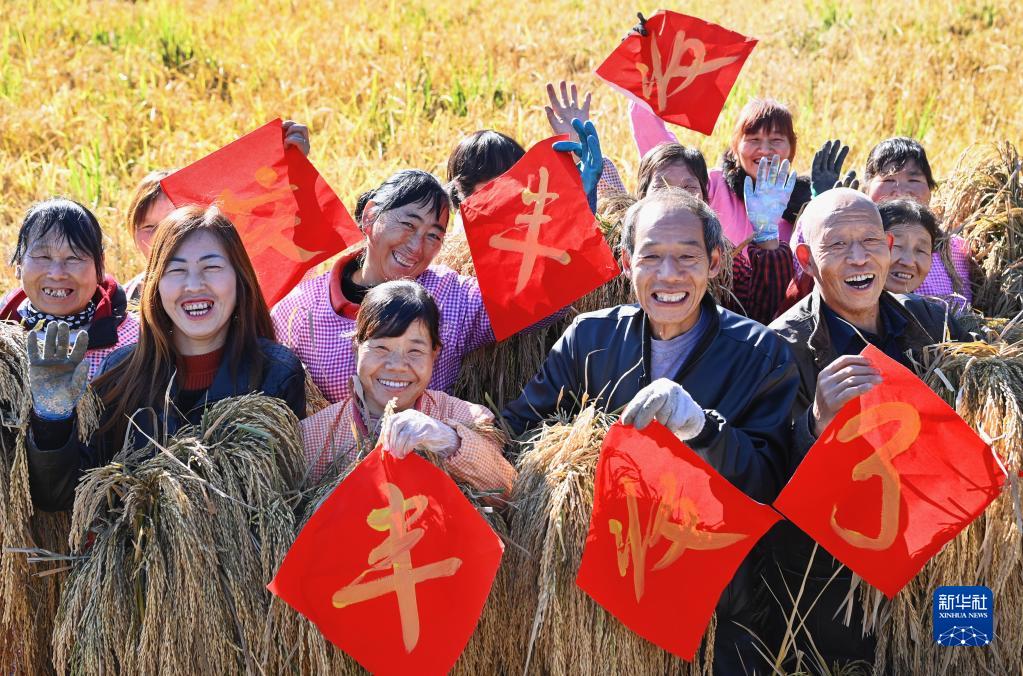 10月11日,群众在水稻开镰仪式上。 10月11日,群众在水稻开镰仪式上。