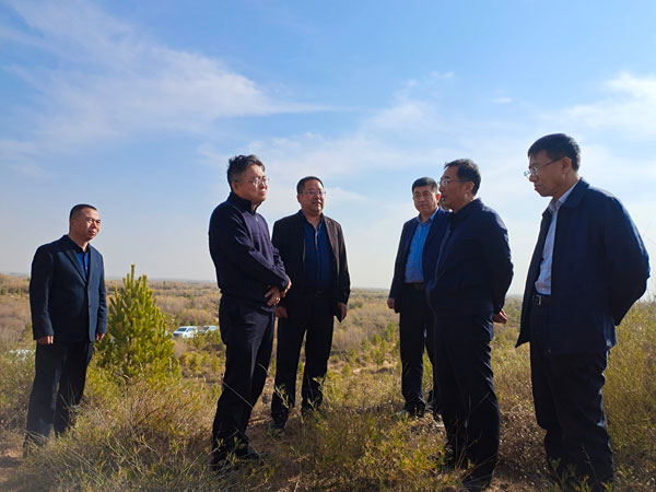 榆林市政协副主席王志强赴定边县工作联系点调研