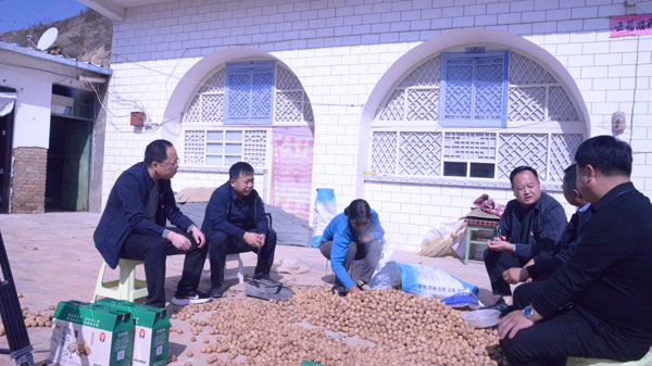 靖边县周河镇：让群众富在产业链上