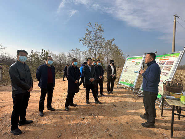 榆林市政协副主席苏世强到靖边县开展巡林工作