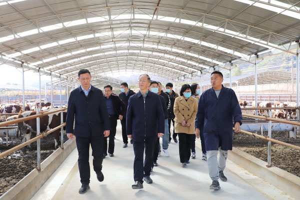 绥德县政协深入乡镇企业开展集中视察调研协商活动