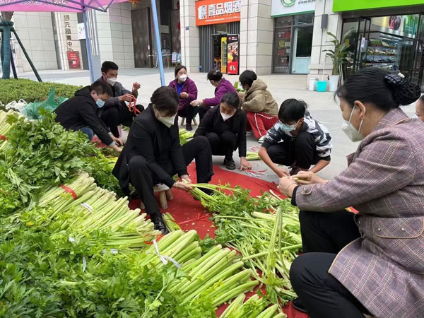 愛心企業(yè)伸援手 1800余戶群眾收到愛心蔬菜包