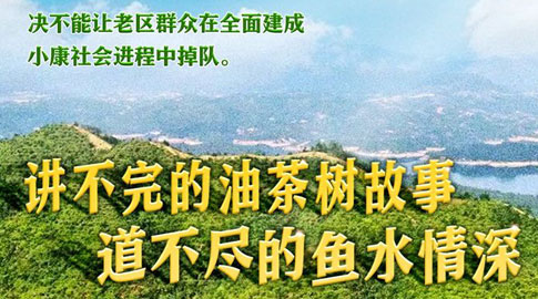 十年兩會(huì)·溫暖記憶｜“講不完的油茶樹(shù)故事，道不盡的魚水情深”