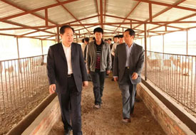 住陕全国政协委员史贵禄：“政协老兵”再出发｜委员履职故事