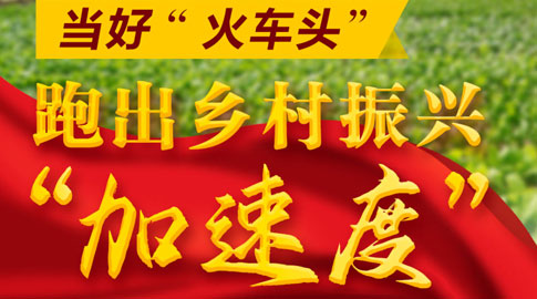 十年兩會(huì)·溫暖記憶｜“當(dāng)好‘火車頭’，跑出鄉(xiāng)村振興‘加速度’！”