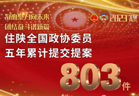 两会新期待丨凝心聚力向未来 团结奋斗谱新篇 住陕全国政协委员五年累计提交提案803件