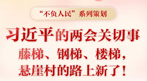 習(xí)近平的兩會(huì)時(shí)間｜兩會(huì)關(guān)切事——藤梯、鋼梯、樓梯，懸崖村的路上新了！