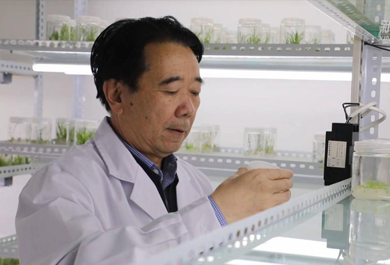 代表委員履職故事｜全國政協(xié)委員馬忠明：腳下有泥土 履職接地氣