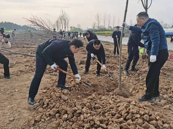 汉中市政协开展春季义务植树活动