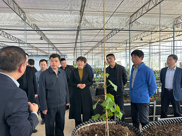 宝鸡市政协开展“三个年”暨走访委员调研活动