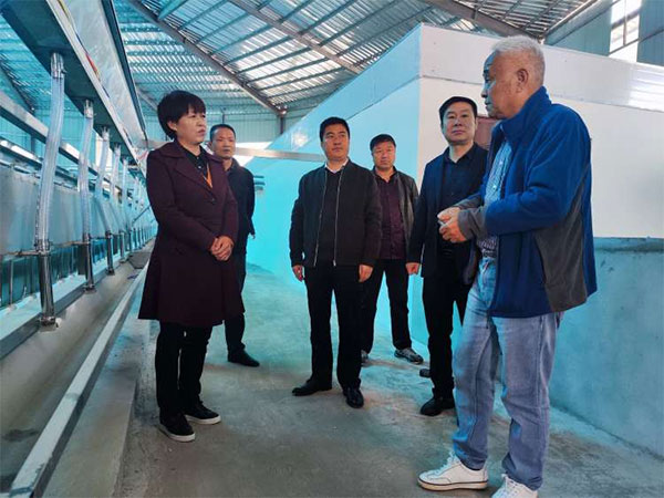 融入产业链履职尽责议发展——陇县政协羊乳产业委员工作室走访服务羊场活动纪实