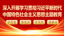 深入开展学习贯彻习近平新时代中国特色社会主义思想主题教育