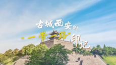 <font color='3D3D3D'>中国－中亚峰会丨古城西安的“一带一路”印记</font>