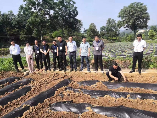 西乡县政协工商联界委员工作室开展农业产业发展观摩调研活动