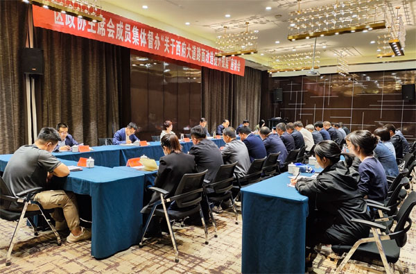 凤翔区政协主席会督办“西府大道路面改造提升”重点提案