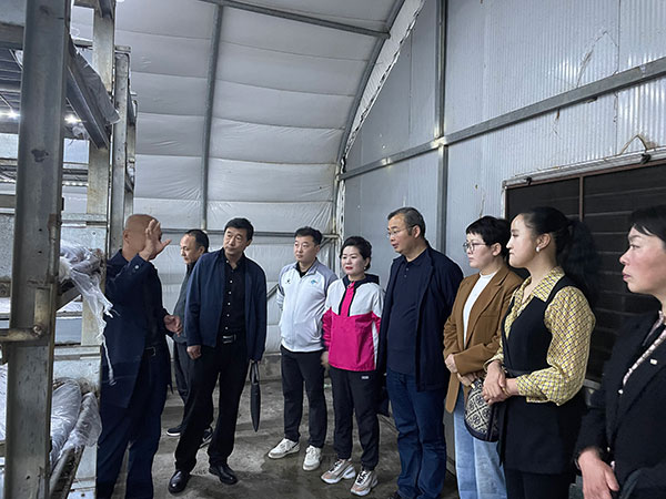 丹凤县政协营商环境最优区委员工作室开展“一号提案”微调研微协商活动