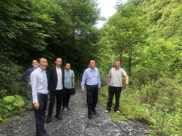 岚皋县政协调研督导当前重点工作