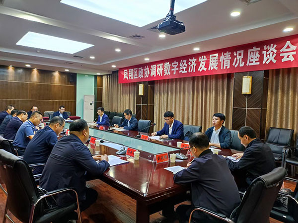 凤翔区政协开展数字经济发展专题调研
