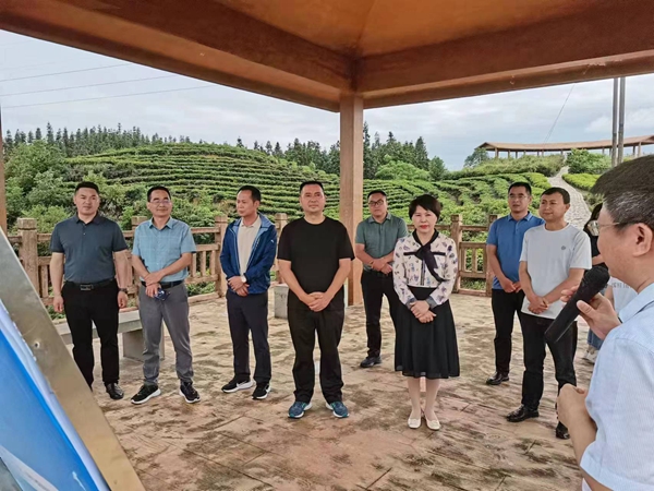 西乡县政协赴四川名山区等地考察茶旅融合发展工作