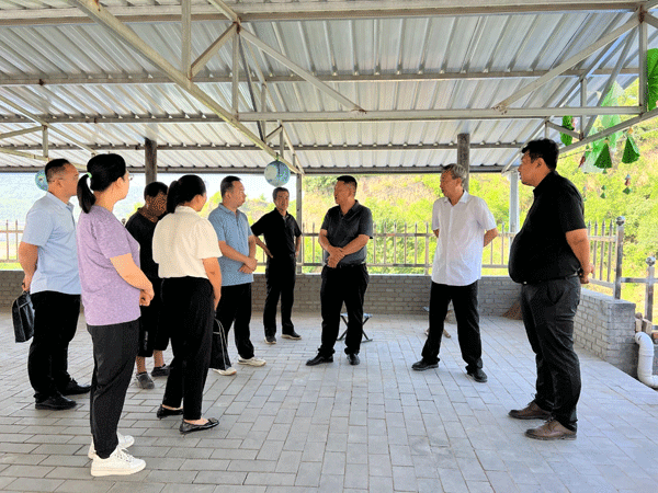 吴堡县政协专题调研全县城乡居民养老情况