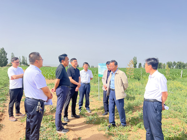 榆林市政协副主席王志强到定边开展巡林工作