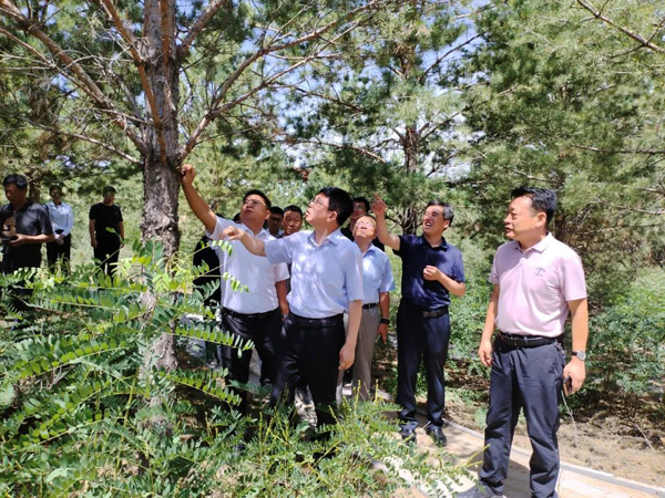  榆林市政协副主席高苗赴横山区开展巡林工作