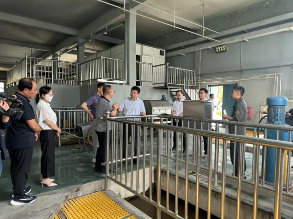 榆林市政协副主席高苗专题视察榆溪河污水治理成效