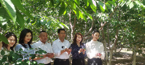 靖边县红墩界镇：重点项目建设跑出“加速度”