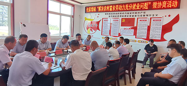 千阳县政协：“微协商”为农村富余劳动力搭建就业桥