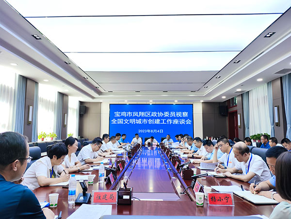 凤翔区政协：举全区之力 集全民之智 全力推进全国文明城市创建工作
