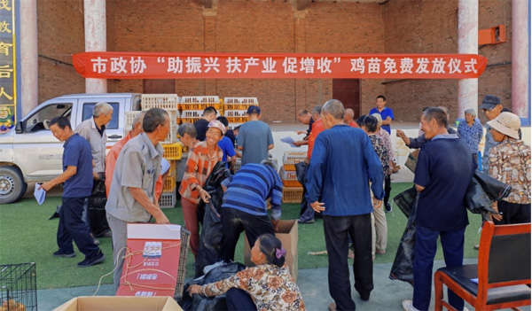 榆林市政协驻村工作队开展“助振兴 扶产业 促增收”鸡苗免费发放活动
