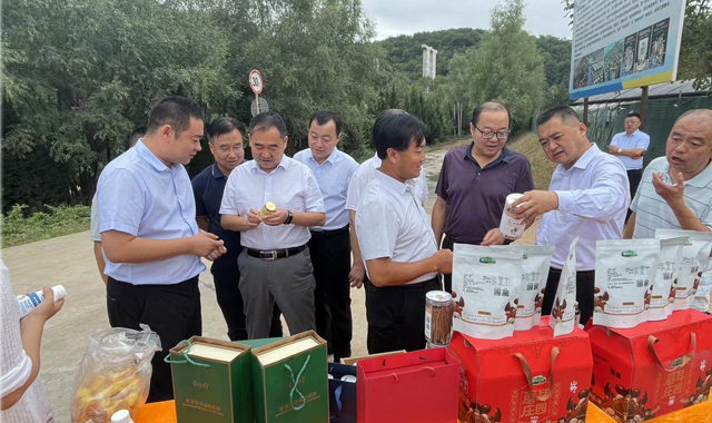 麟游县人大代表政协委员联合视察重点项目建设情况