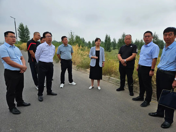 榆林市政协副主席任静波现场督办重点提案